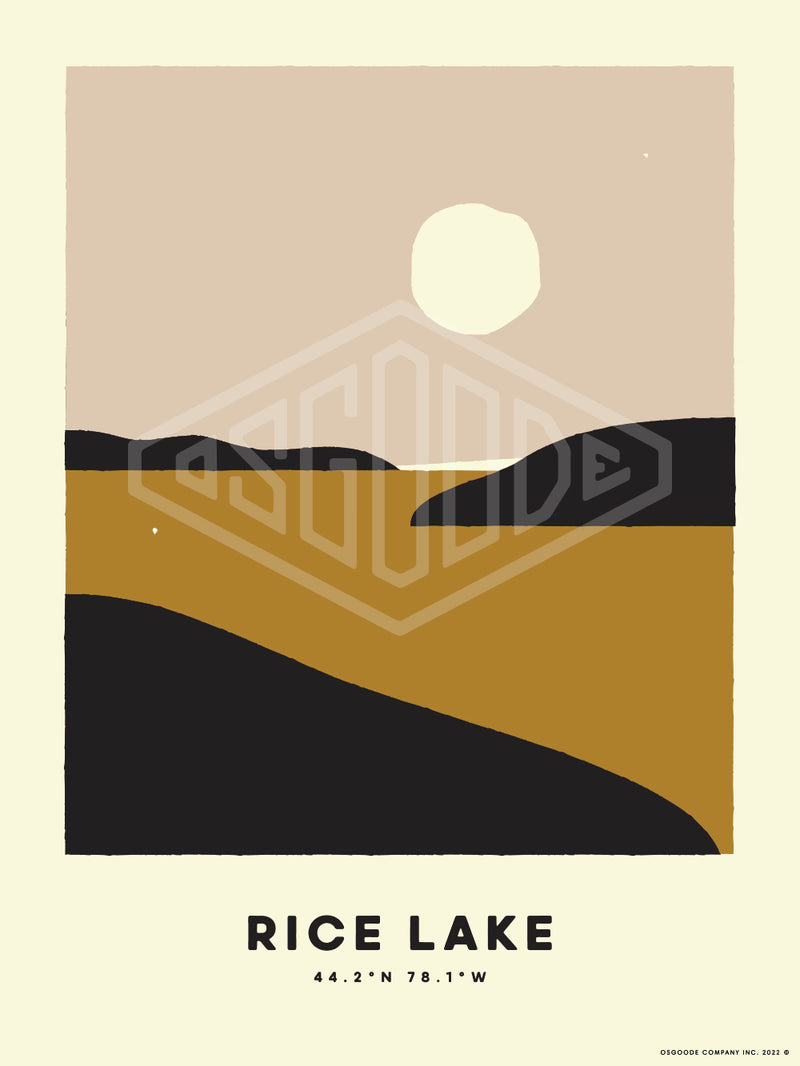 RICE LAKE PRINT